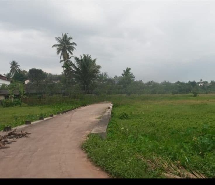 Land for Sale in Kottawa (NZMS3022)