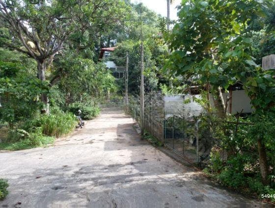 19.25P Land for Sale in Buthgamuwa Road, Rajagiriya (SL 13723)