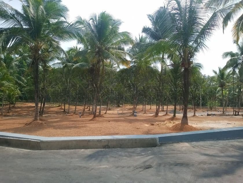 දෙල්ගොඩ කඩවත 210 බස්පාරට නුදුරින් අගනා නෙවාසික බිම් කොටස් විකිණීමට