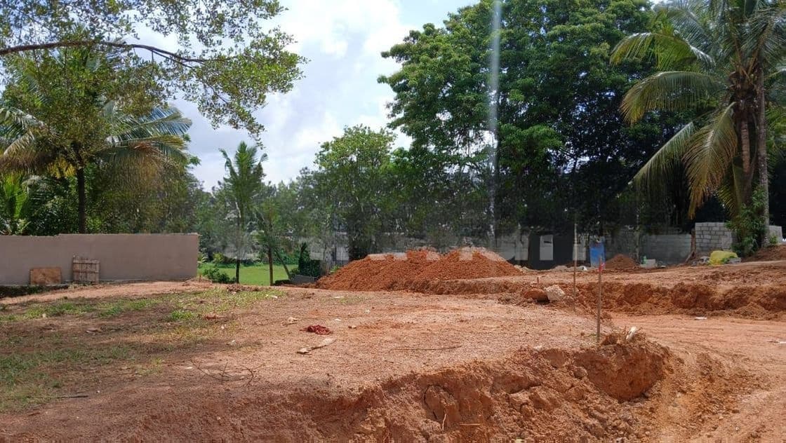 Land in Homagama Krushi Mw