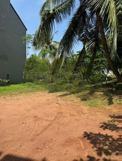 Super Land for Sale 1588 - Kotiyagoda