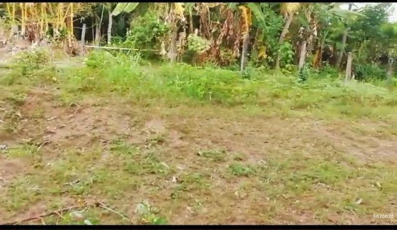 50.14P of Land with House for Sale in Walpola near Ragama | SL 14098
