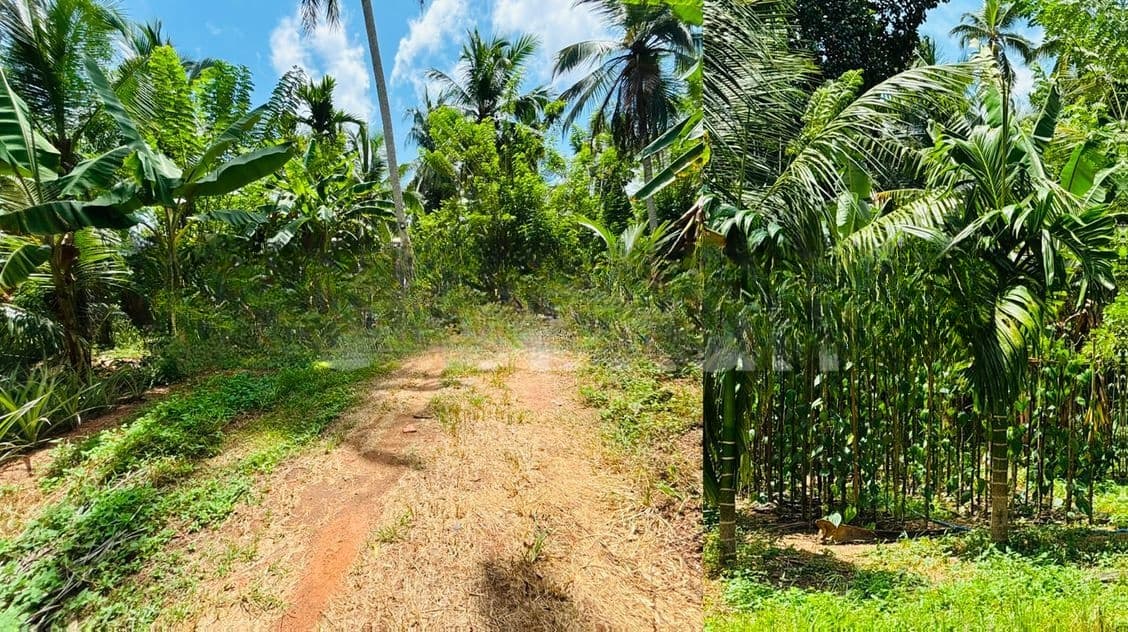 අක්කර 2 යි පර්චස් 2ක ඉඩමක් විකිණීමට, ගම්පහ