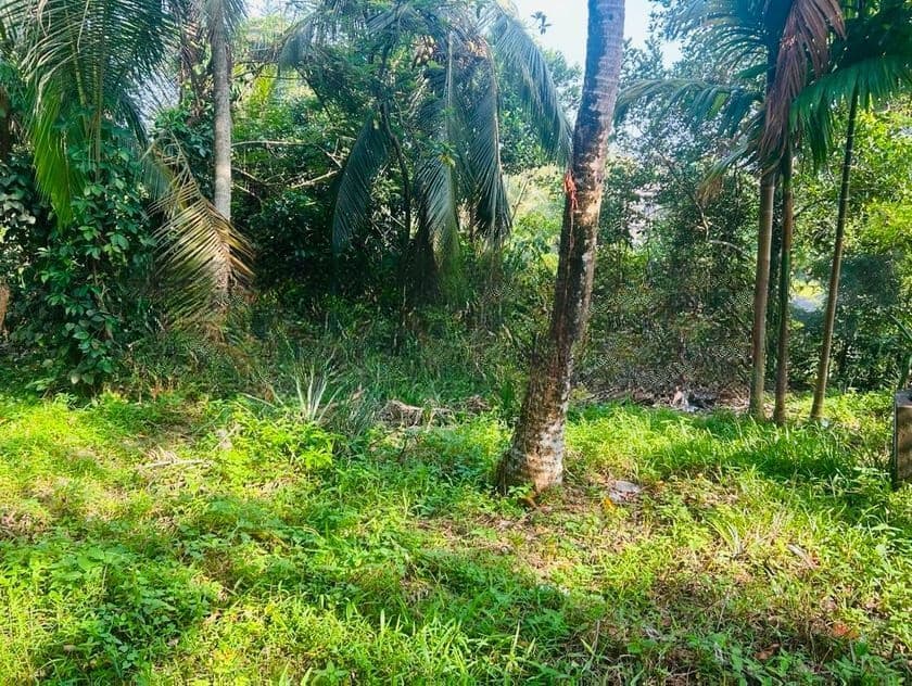 Prime Residential Land for Sale – Kahathuduwa