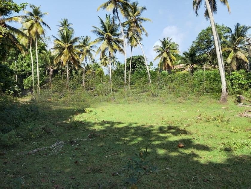 HIKKADUWA : 136P HISTORIC LAND FOR SALE at Kahawa
