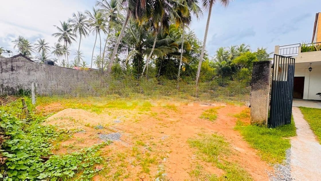 Kalagedihena Ideal Land for Sale Nearby Lyceum International
