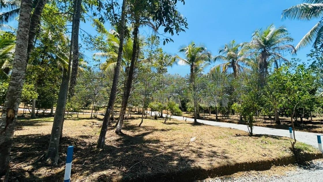 සියලු පහසුකම් සමගින් පදිංචියටත් වටිනා ඉඩම් කහතුඩුව