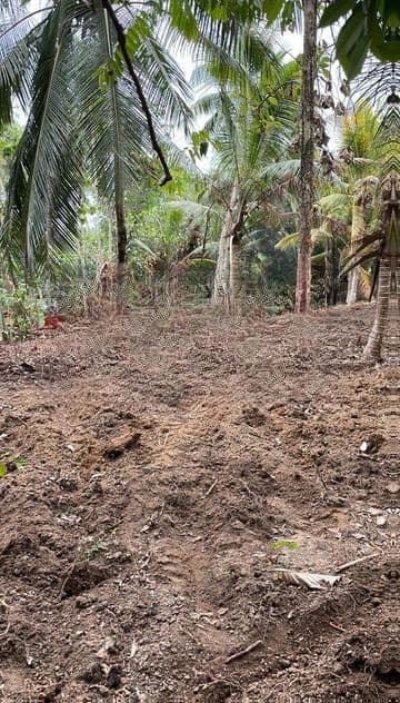 Nugegoda Kandawatta Road 5 Perches Land for Sale