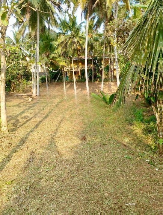 ■ Kalutara ■ Land For Sale ■ (NK10554)