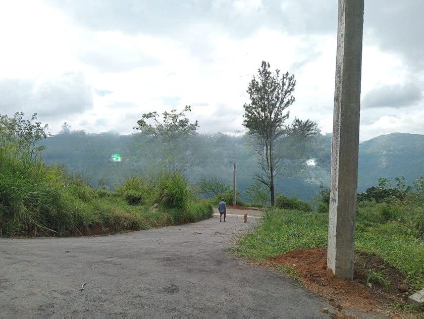 Land For Sale Nuwara Eliya Road Pundaluoya