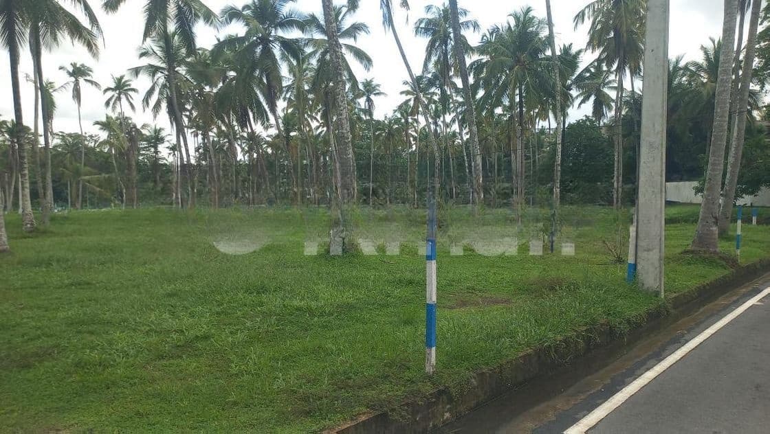 යක්කල ගමිපහ පාරට මුහුණලා බිම්කොටස්