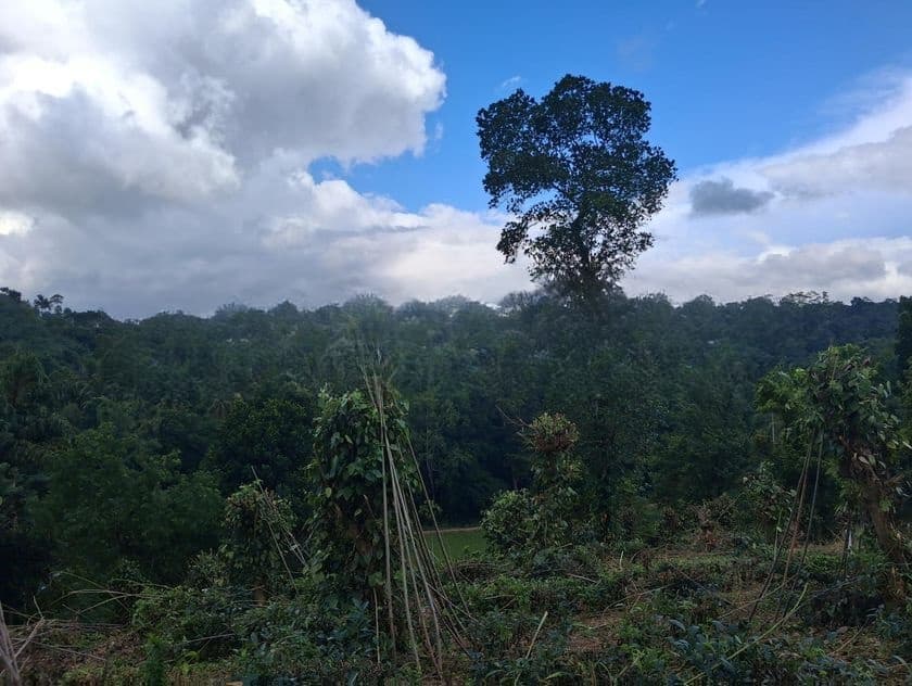 Residential Land for Sale in Kandy Pilimatalawa