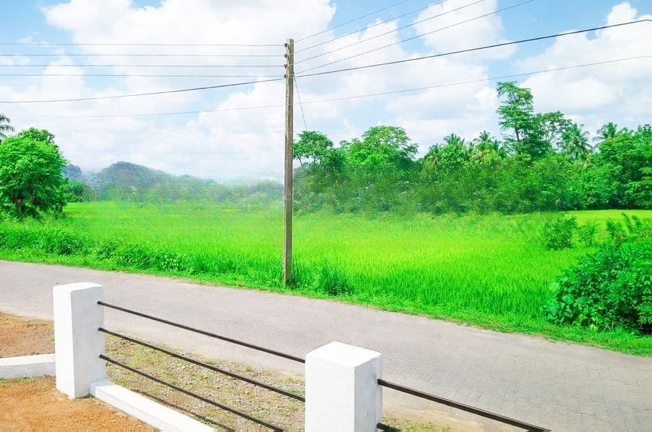 Dambadeniya Land for Sale P8