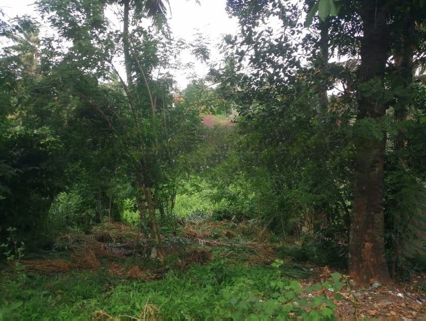 Land for Sale in Kundasale