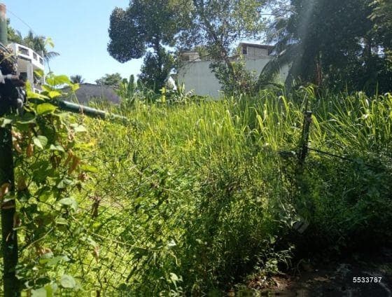 10 Perch Land for Sale at Welipara, Thalawathugoda