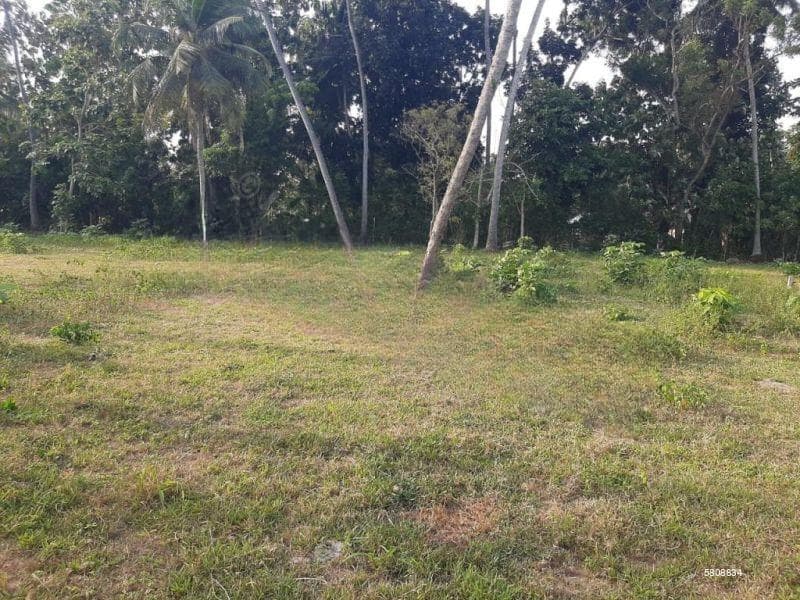 47 Perchers Residential Land For Sale In Negombo / Daluwakotuwa ( Silver Sand Road ) / 01 Km From Loyala College.