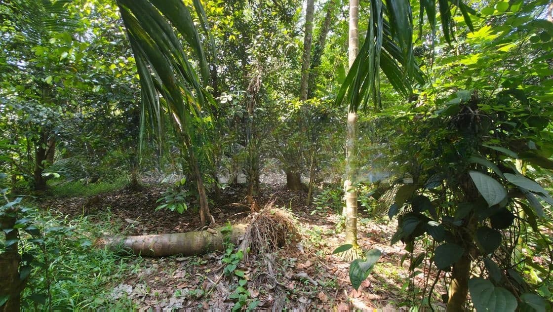 Land for Sale in Kandy Gam Udawa