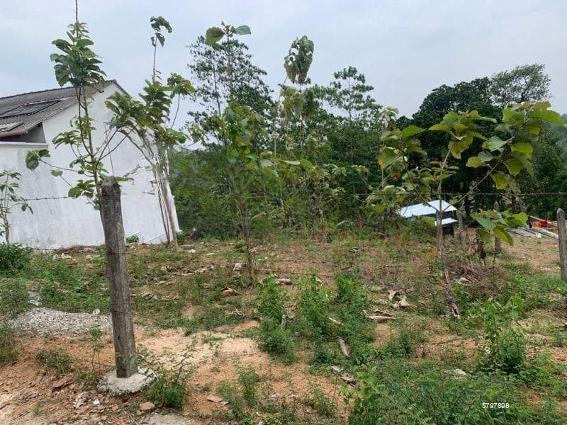 20-Perch Residential Land for Sale in Thalawathugoda | SL12880