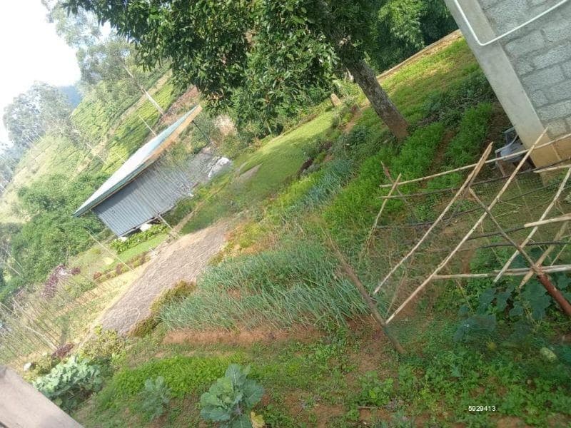 Cultivated Land with Cabin for Sale in Lindula