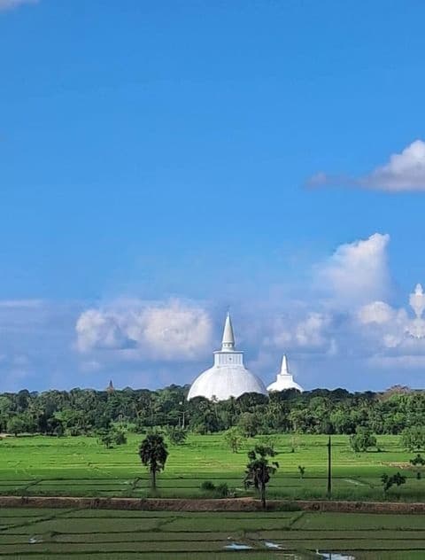 නගරයට ලගින්ම අනුරාධපුරයෙන් බිම් කොටස්