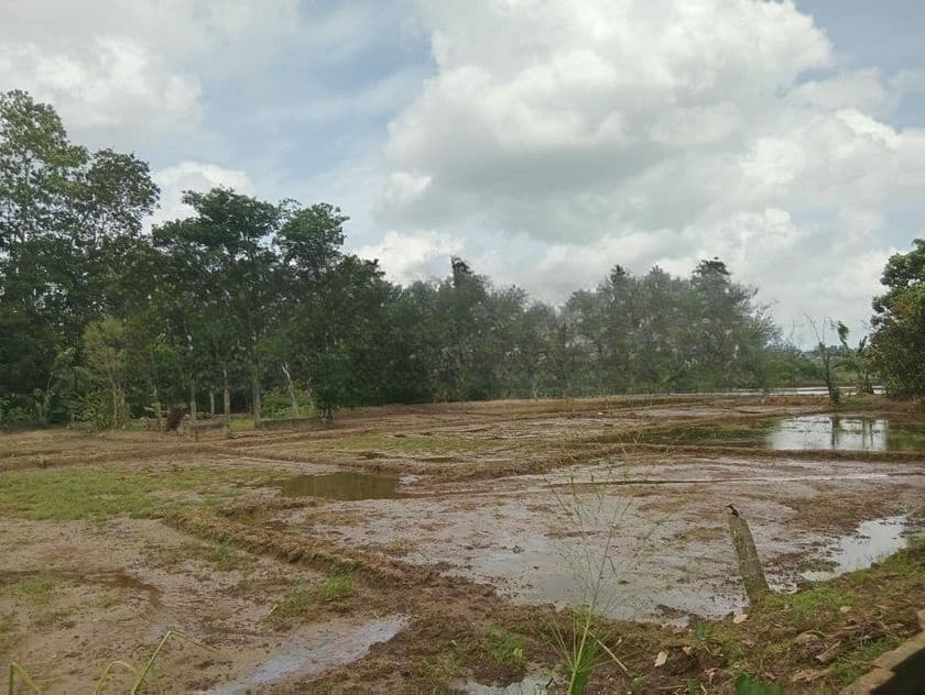 Land for Sale with House in Thalawathugoda