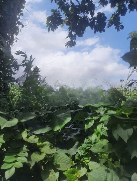 Land For Sale In Maharagama