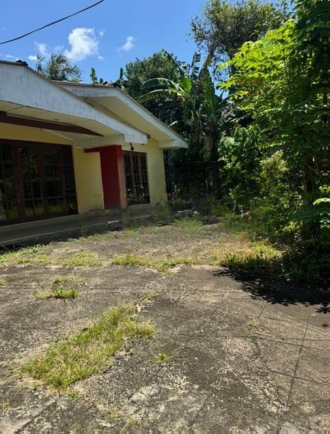 Single Storey House for Sale in Rajagiriya Ds2450