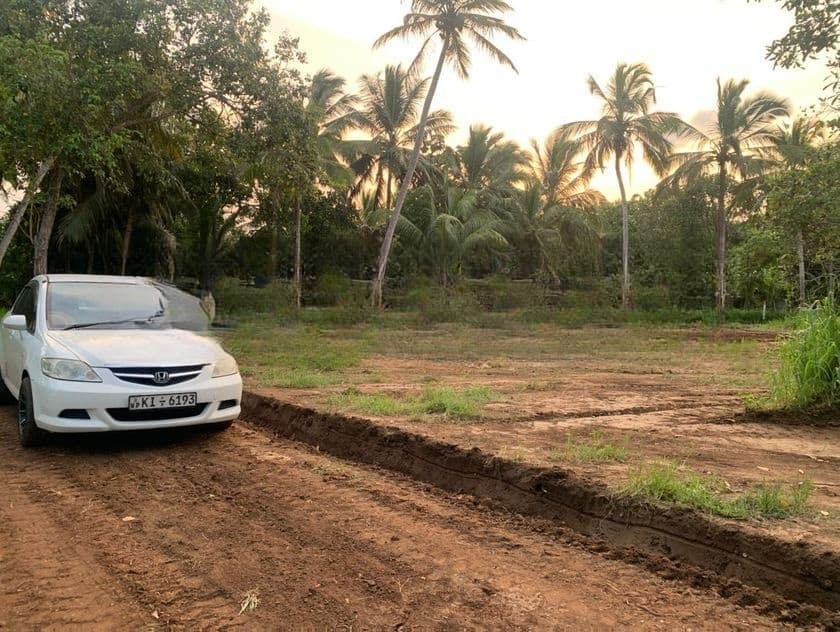අනුරාධපුරයෙන් අගනා සින්නක්කර බිම් කොටස් කිහිපයක්