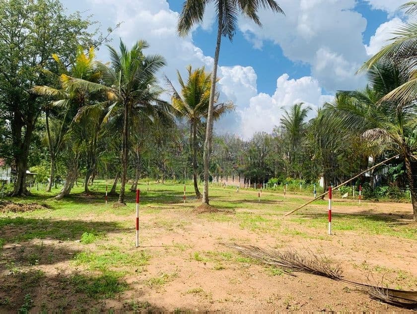 පොතුහැර ටවුමට ලග තැනක්