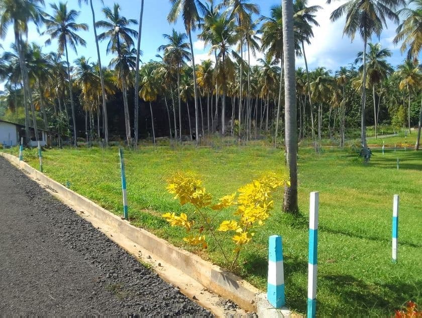 Developed Land for Sale in Polgahawela D01