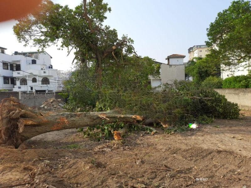 🏗️ Prime Land For Sale 📍 Colombo 5 Thimbirigasyaya Road Vicinity🌟 60.3 Perches | Ideal For Apartments Or Luxury Vi