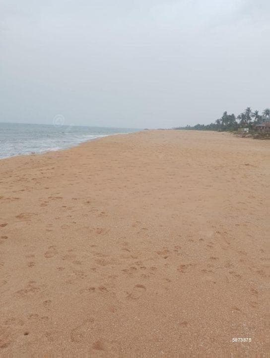 On The Beach Land For Sale In Negambo (thalahena)-code Add 866