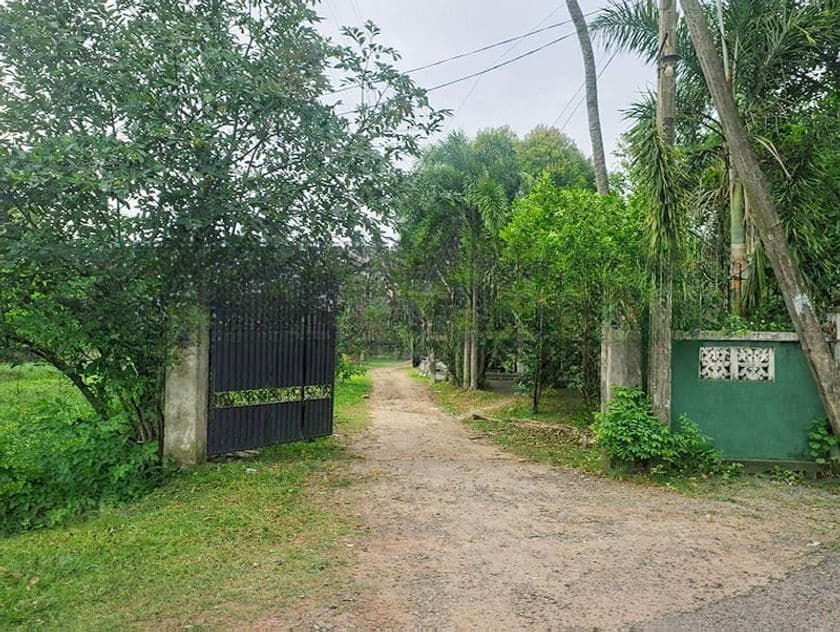 Land for Sale Ja Ela