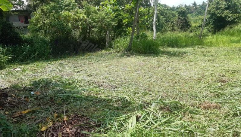 17.5 Perch Land for Sale in Amaragoda Road Pelawatta, S1843