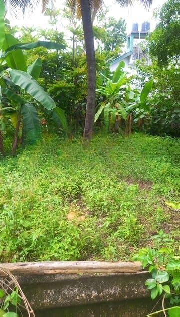 Land for Sale Kalapaluwawa