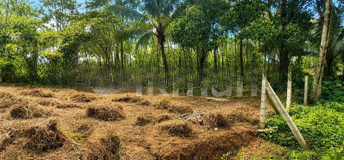 දඩිගමුව ඉඩමක්