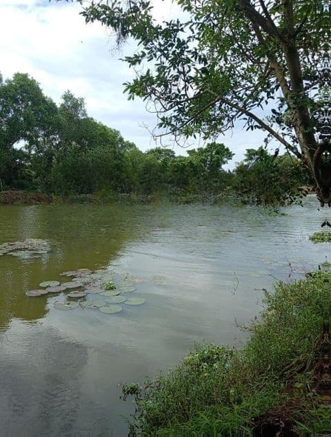 River Facing Land for Sale in Nawala
