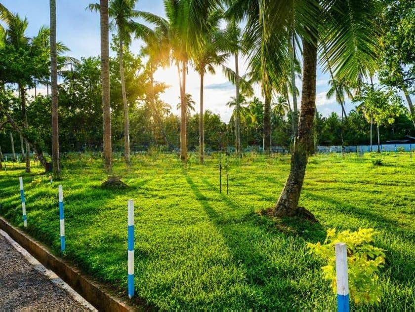 Mainroad Facing Land for Sale in Mellawagedara P1