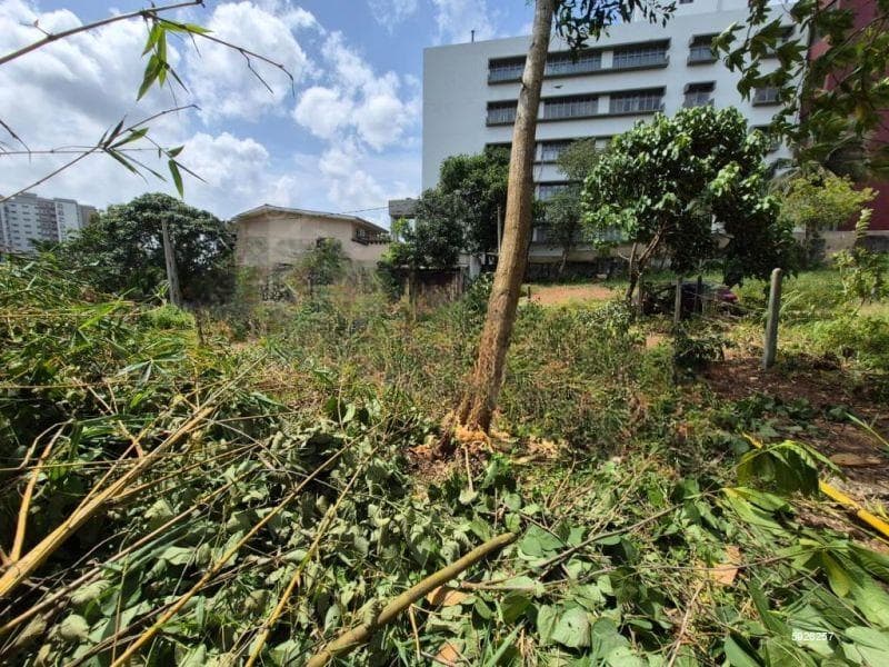 10P Prime Land For Sale In Thalahena
