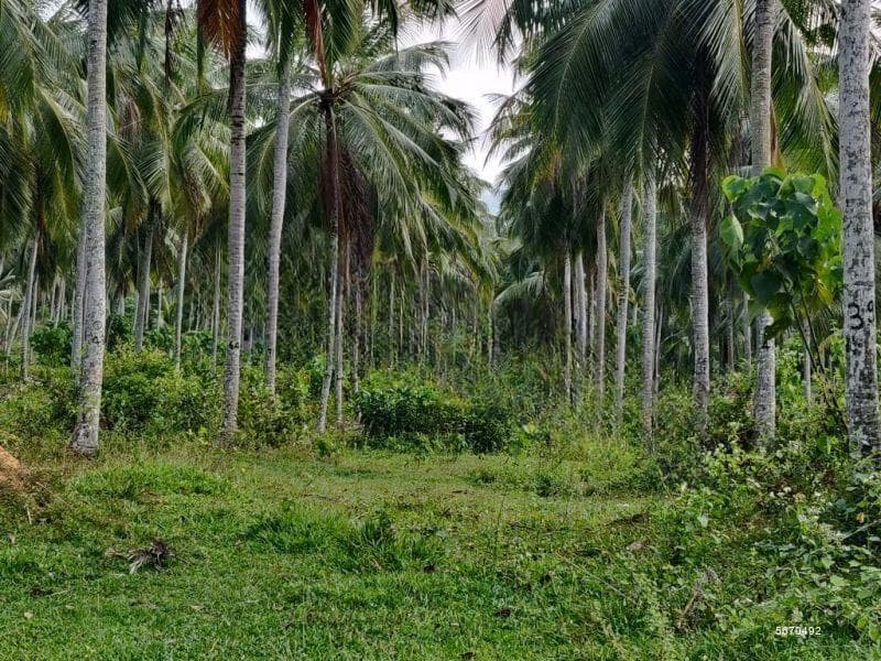Land for Sale - Nittambuwa | LKR 250,000,000