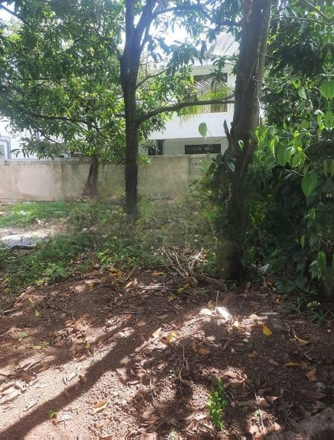 Land For Sale In Boralesgamuwa