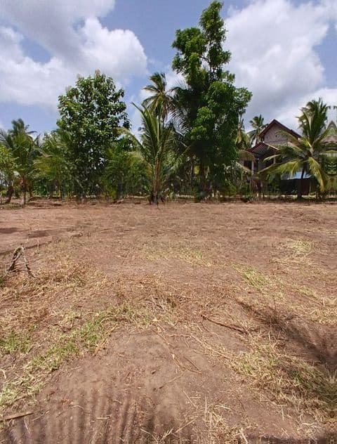 Land for Sale Anuradapura