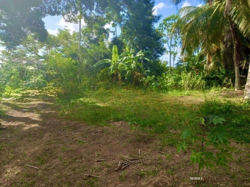 Property For Sale Near Mattegoda Junction
