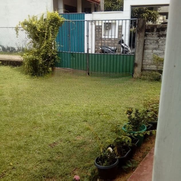 Prime Main Road Property for Sale in Wattala – 51 Perches