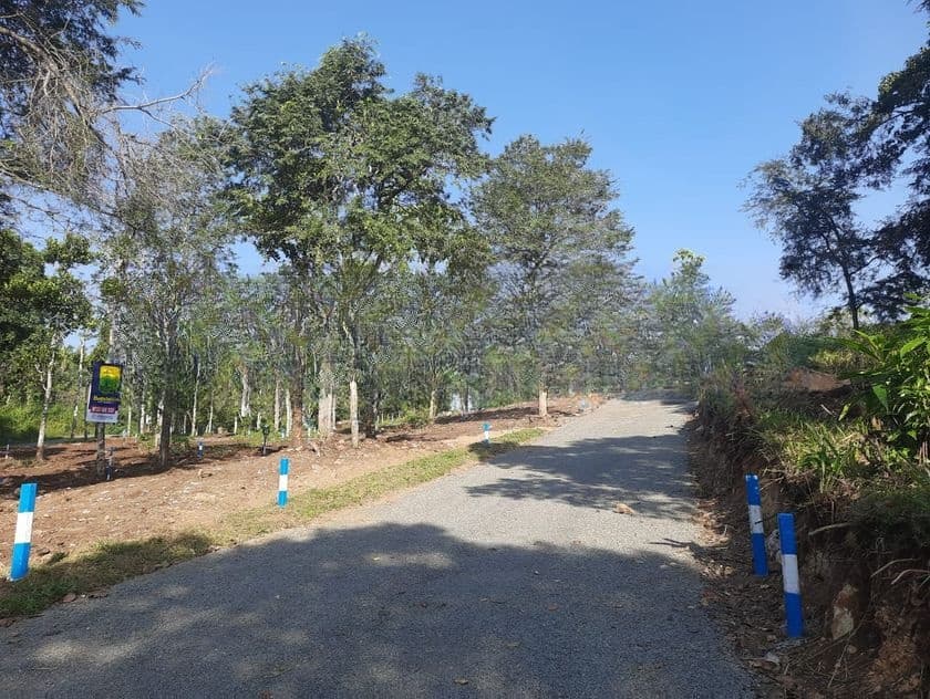 Land for Sale in Sinharagama