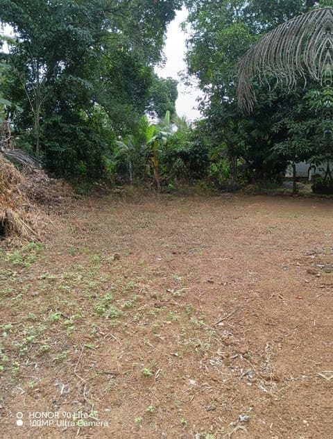Land for sale in Kurunegala Mallawapitiya