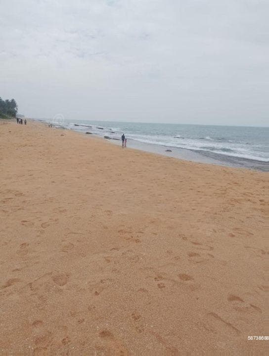 On The Beach Land For Sale In Negambo (thalahena)-code Add 865