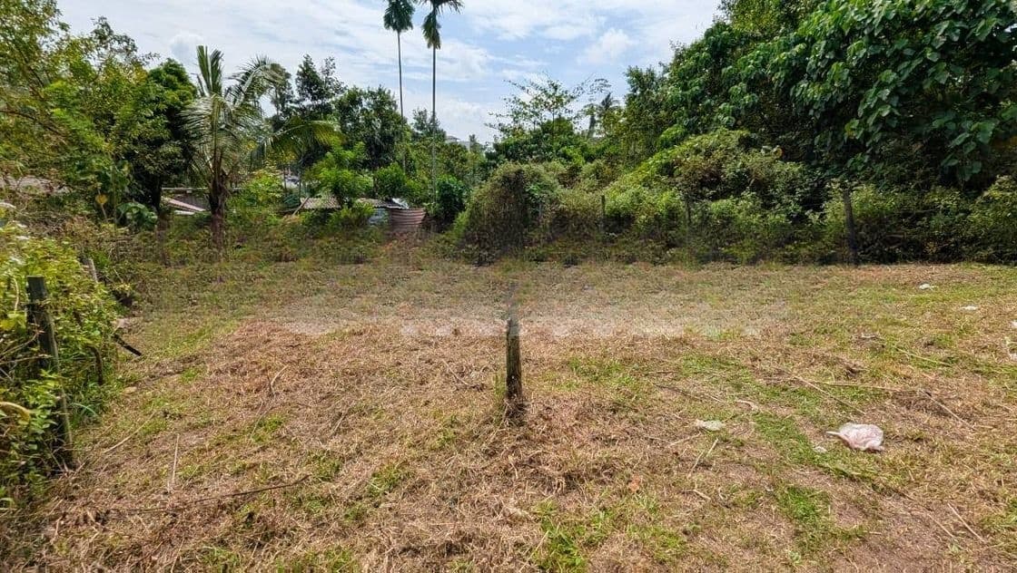හෝමාගම නගරයෙන් ඉඩමක් විකිණීමට