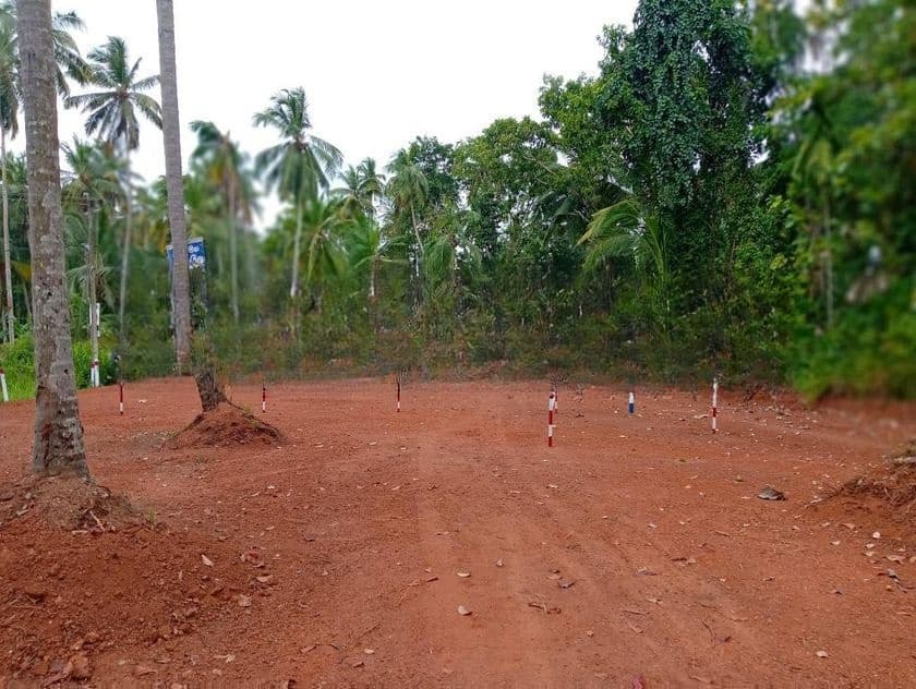 Land for Sale දිවුල්දේනිය