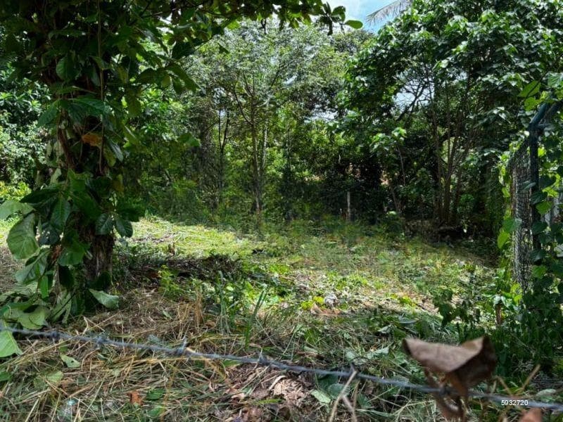 10-Perch Land for Sale Near Thewatta Church, Ragama